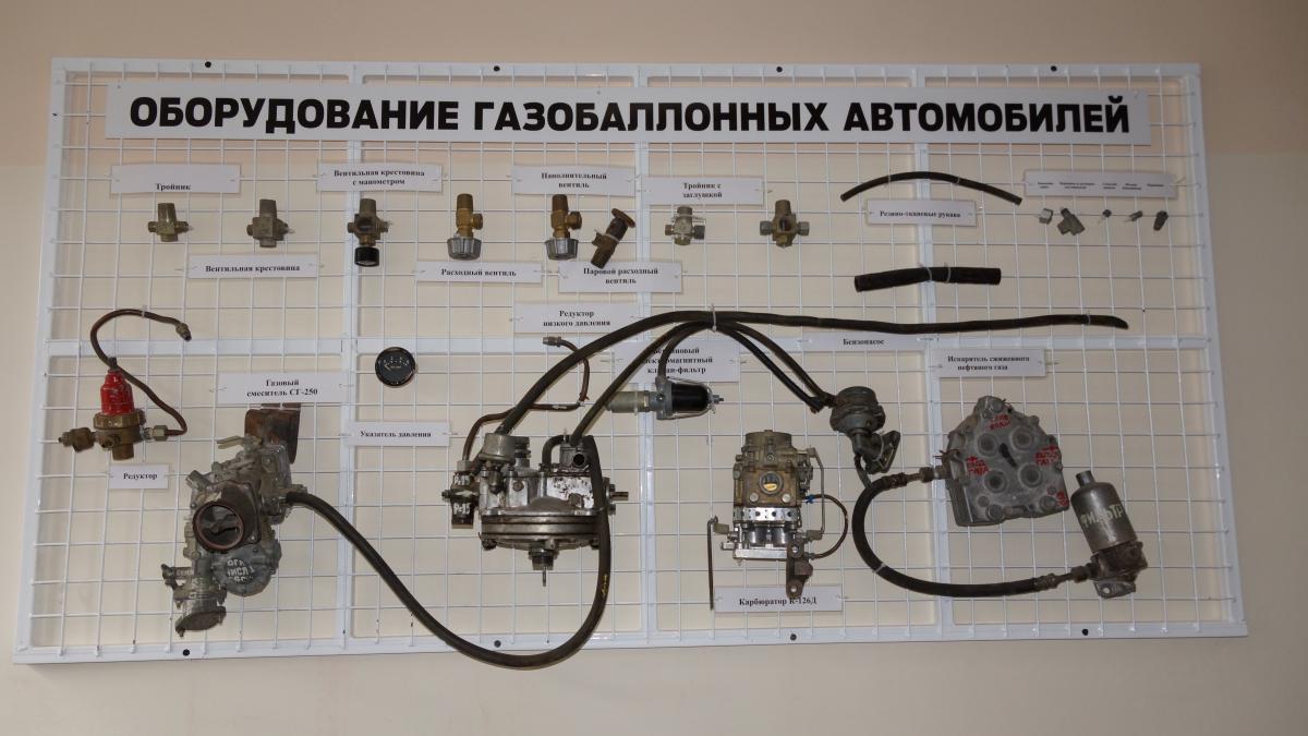Фото аудитории